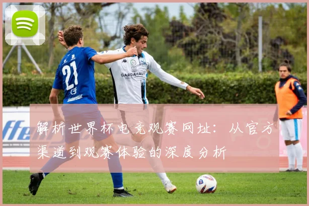 解析世界杯电竞观赛网址:从官方渠道到观赛体验的深度分析