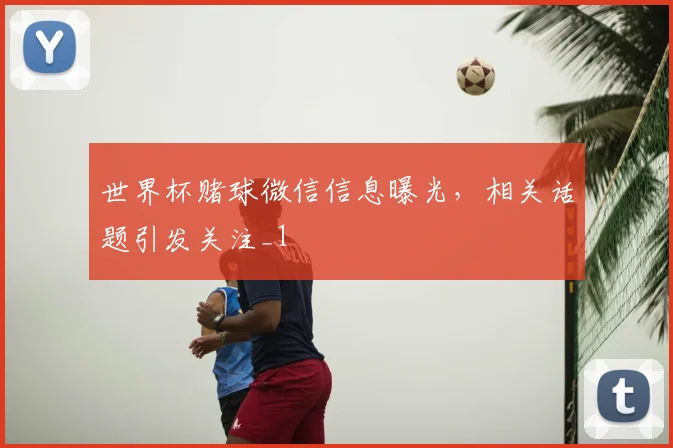 世界杯赌球微信信息曝光,相关话题引发关注_1