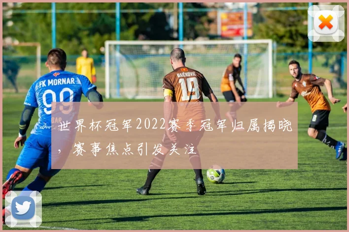 世界杯冠军2022赛季冠军归属揭晓,赛事焦点引发关注