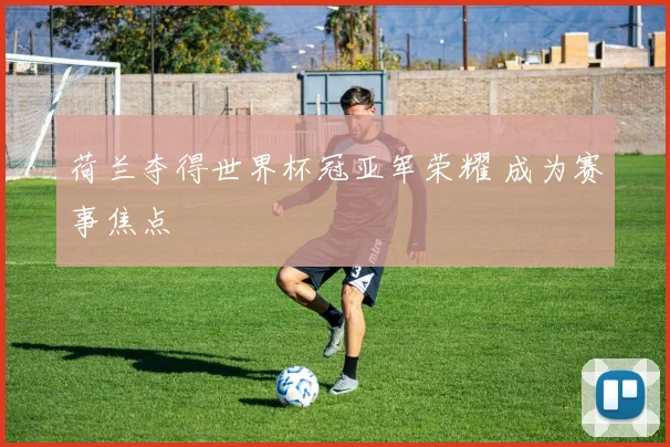 荷兰夺得世界杯冠亚军荣耀 成为赛事焦点