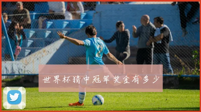 世界杯猜中冠军奖金有多少