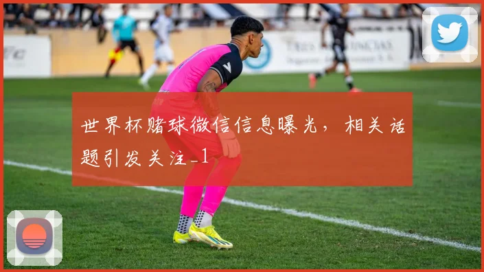 世界杯赌球微信信息曝光,相关话题引发关注_1