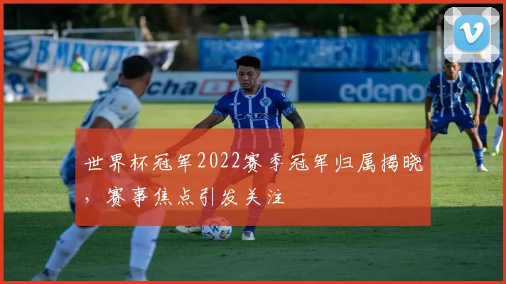 世界杯冠军2022赛季冠军归属揭晓,赛事焦点引发关注
