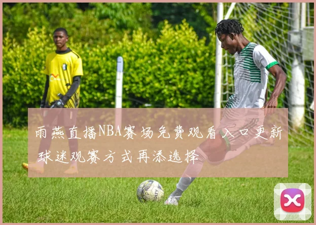 雨燕直播NBA赛场免费观看入口更新 球迷观赛方式再添选择