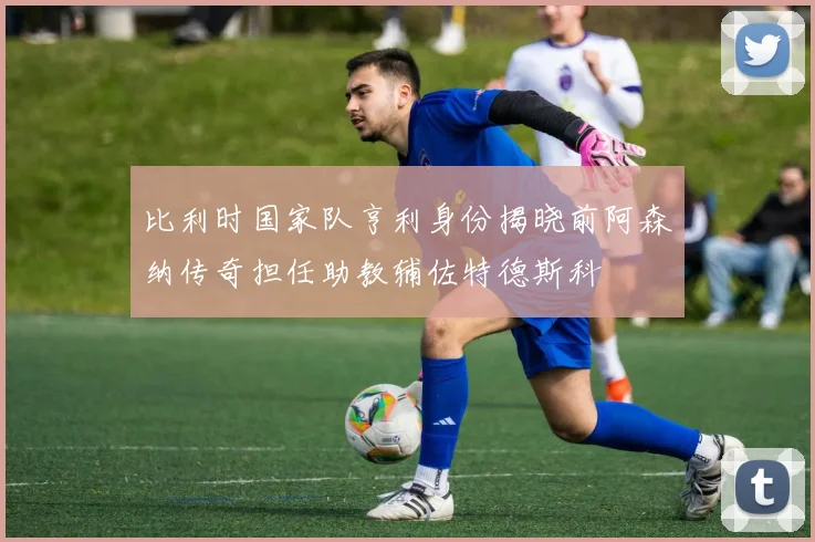 比利时国家队亨利身份揭晓前阿森纳传奇担任助教辅佐特德斯科