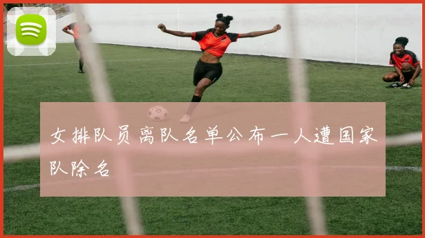 女排队员离队名单公布一人遭国家队除名