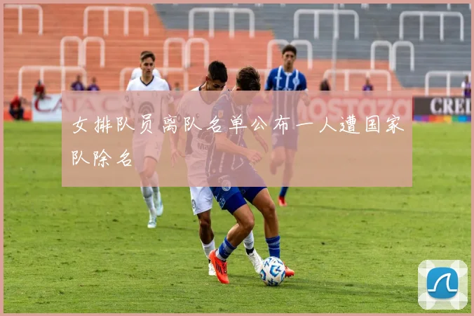 女排队员离队名单公布一人遭国家队除名