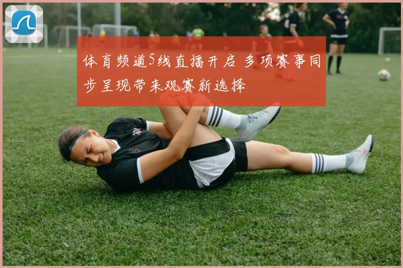 体育频道5线直播开启 多项赛事同步呈现带来观赛新选择