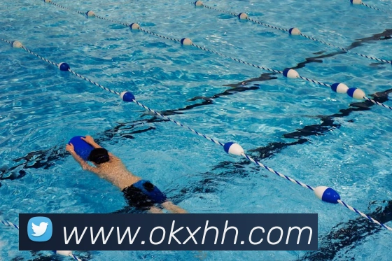 多媒体互动体验