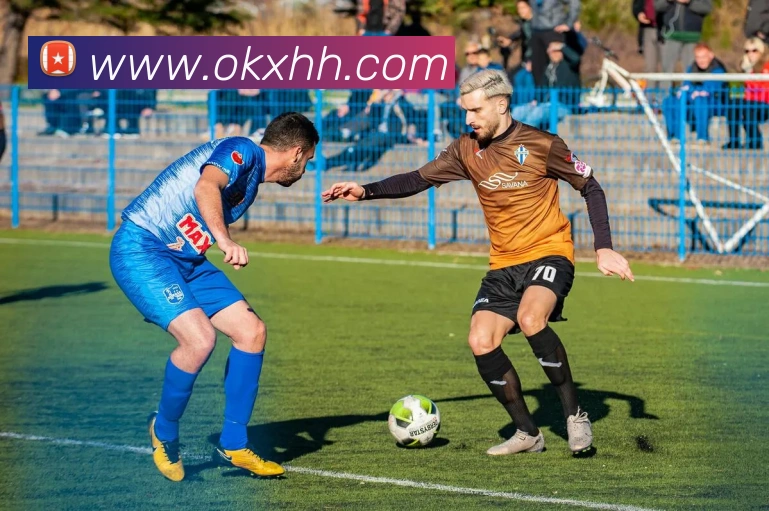 金年汇网页版登录入口APP 高清赛事图